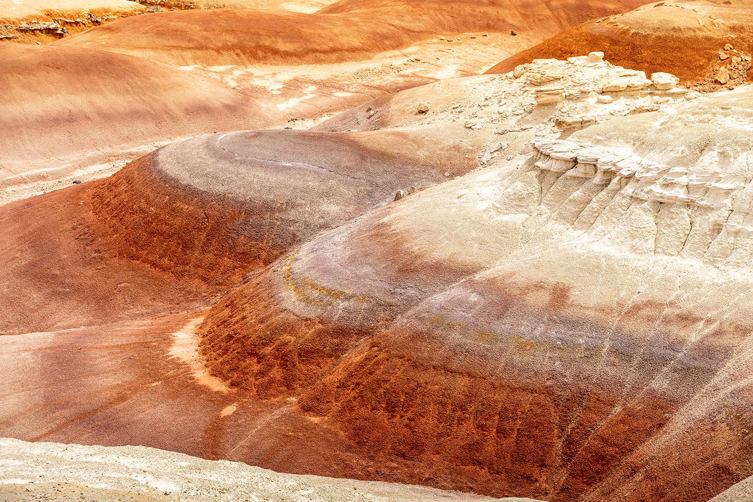 20220404_DK-Project_Moab_Monument-Valley_Alstrom-Point_6DM2_0013.jpg